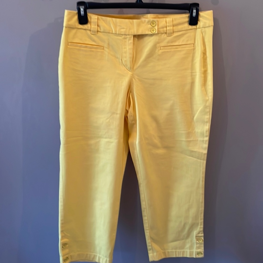 Loft cropped pant